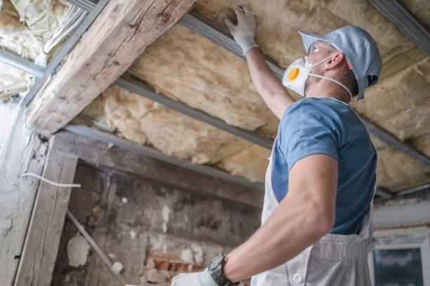 Insulation Repair Services in Morrow, OH